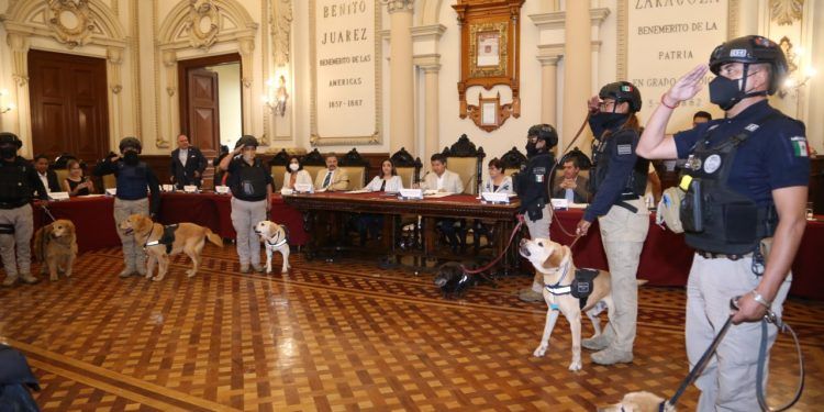 Se jubilan con honores 16 ejemplares caninos del Grupo K9 en Puebla