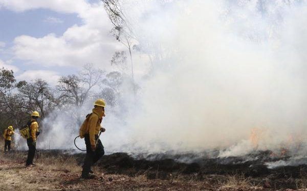Puebla disminuye incendios en 14.7%