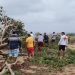 Agatha deja 11 muertos y 20 desaparecidos a su paso por Oaxaca