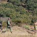 Fallece otra víctima por explosión; suman 8