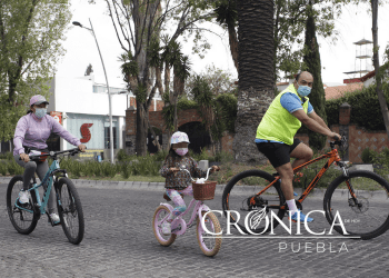 Recomiendan fomentar adopción y agilizar proceso