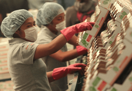 Destaca Puebla en economía