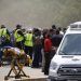 Policía de Texas admite error por no ingresar de inmediato a escuela donde mataron a 19 menores