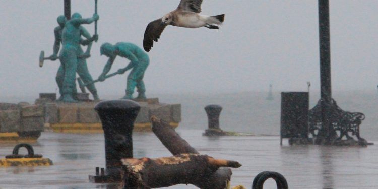 Prevén hasta 40 tormentas tropicales y huracanes en México esta temporada   