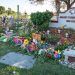 Nuevamente aplazan selección del jurado en juicio por matanza de Parkland