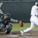 Se lleva Pericos primero de la serie ante Leones