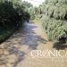 Avanzan Puebla, Tlaxcala y federación en recuperación integral del Río Atoyac