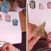 Con mucho lujo: niña recorta billetes para hacer su tarea (VIDEO)