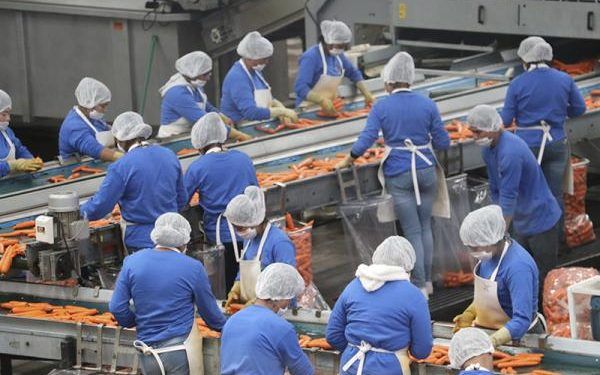 Crecen exportaciones de Puebla 40% en primer cuatrimestre de 2022