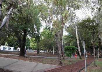 Con la siembra de 5 mil árboles, inicia programa de reforestación en Puebla capital