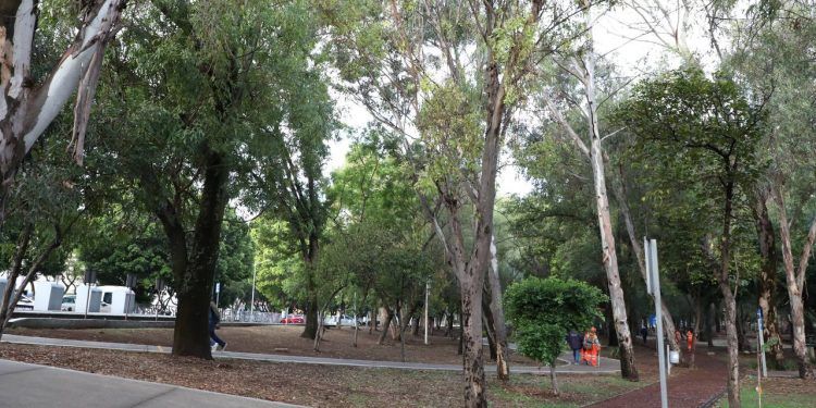 Con la siembra de 5 mil árboles, inicia programa de reforestación en Puebla capital
