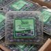 Exportarán casi 500 toneladas de blueberry poblana a Estados Unidos y Canadá