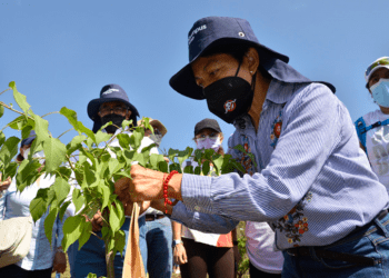 Rectora de la BUAP encabeza jornada de reforestación del Memorial COVID-19