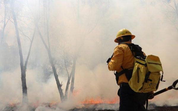Menos daños por incendios forestales
