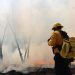 Menos daños por incendios forestales