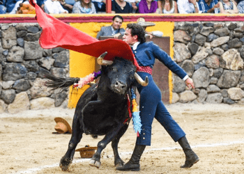 Por las venas de Héctor Gabriel corre la fiesta brava