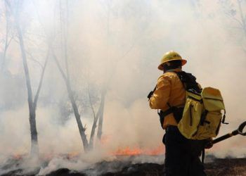 Reporta Medio Ambiente menos daños por incendios forestales