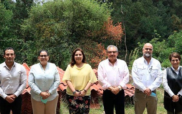 Restauración de Sierra Norte con 21 mil árboles, anuncia Medio Ambiente