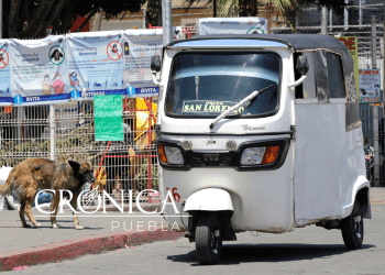 Entra en vigor reglamento de transporte