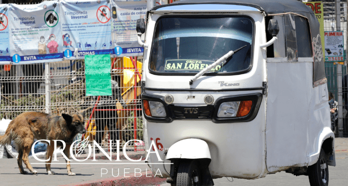 Entra en vigor reglamento de transporte