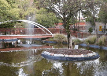 Cafés y bibliotecas en parques capitalinos