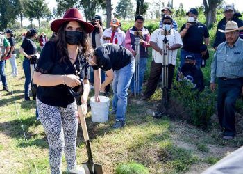 Gobierno de Texmelucan realiza jornada integral de reforestación