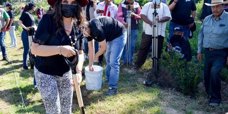 Gobierno de Texmelucan realiza jornada integral de reforestación