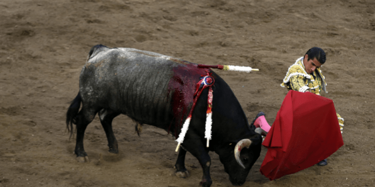 Van diputados por cancelar toros y gallos