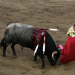 Van diputados por cancelar toros y gallos