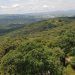 Gobierno de Puebla protege 859 hectáreas más de “Flor del Bosque”