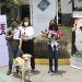 Perritos que sufrieron abuso son dados en adopción por Medio Ambiente Puebla