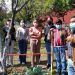 Impulsa Ciencias Agrícolas y Pecuarias BUAP el proyecto de Huertos Escolares