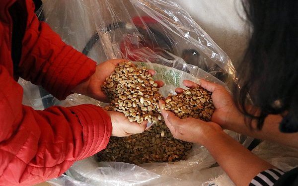 Con subasta internacional, SDR promociona el café poblano