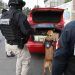 Implementan el operativo de seguridad «CEDA 360» en la capital poblana