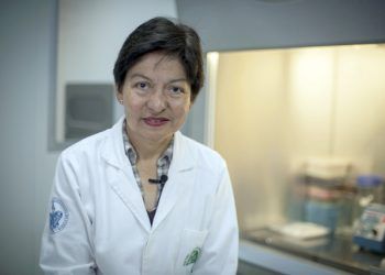 Debemos ser socialmente responsables para frenar al COVID19: Lilia Cedillo