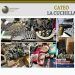 Hallan ametralladoras, cartuchos útiles y 47 kilos de droga en cateo a La Cuchilla; hay un detenido