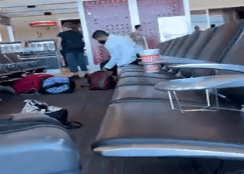 Reportan disparos de arma de fuego en aeropuerto Love Field, en Texas