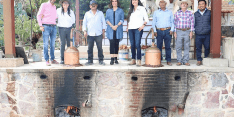 Acompaña Economía a productores de mezcal