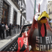 Solicitan preservar las peleas de gallos