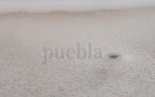 Se registra granizada en colonias de Puebla y zona conurbada