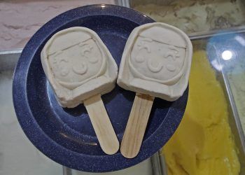 Disfruta las Paletas de Nogada en la capital poblana