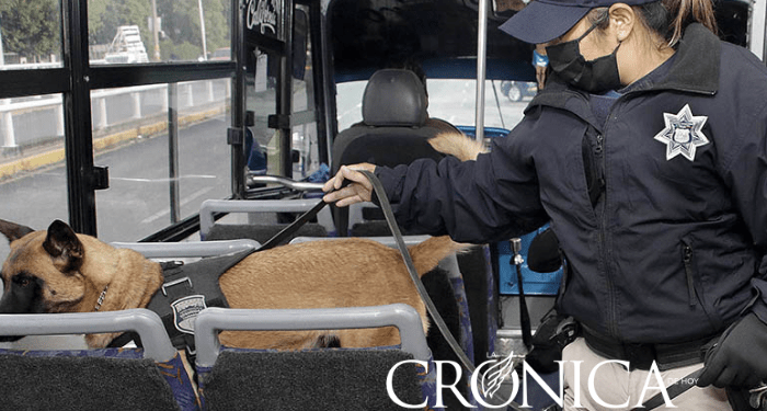 Multiplican revisiones en el transporte
