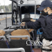 Multiplican revisiones en el transporte