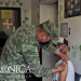 No tienenvacuna 80% de pacientes