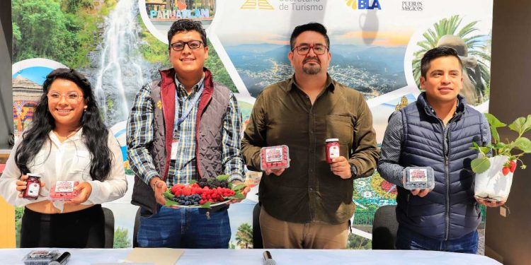 Invitan a la “Feria de las Berries” en Huejotzingo; participarán 50 productores
