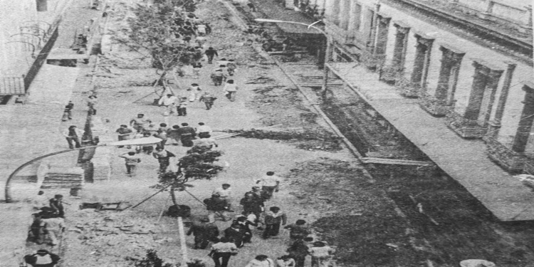 IN MEMORIAM / HACE 45 AÑOS SE PLANTARON ESOS ÁRBOLES