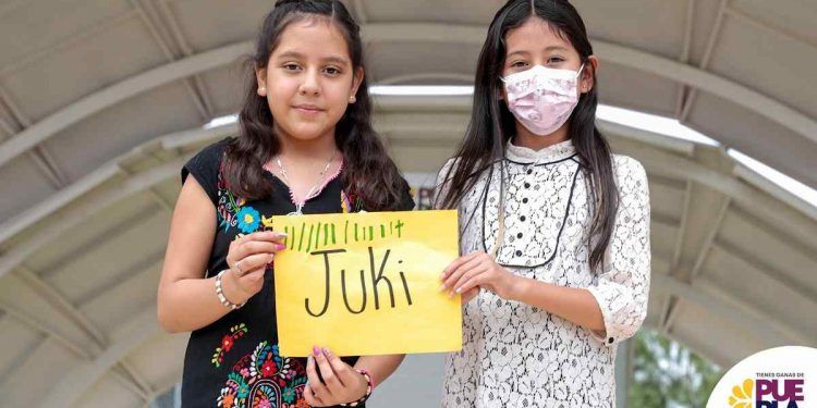 Cervatilla de Casa Puebla ya tiene nombre; la bautizan como “Juki”