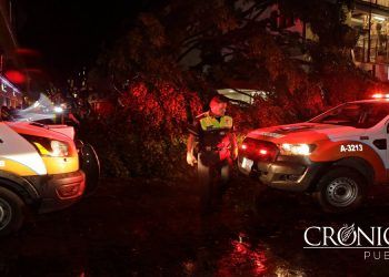 Cae un árbol en el centro de Puebla; un menor muerto y una mujer lesionada