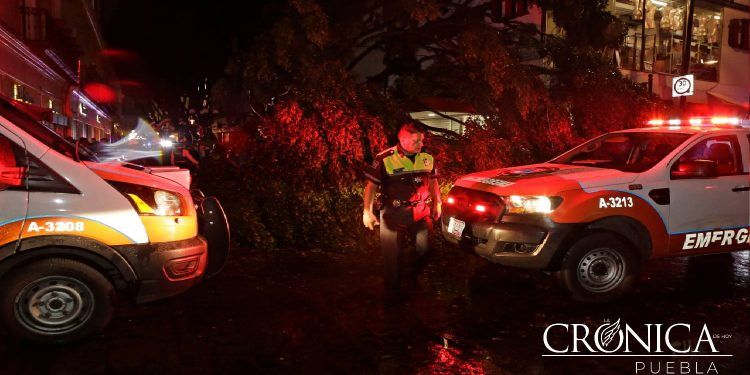 Cae un árbol en el centro de Puebla; un menor muerto y una mujer lesionada