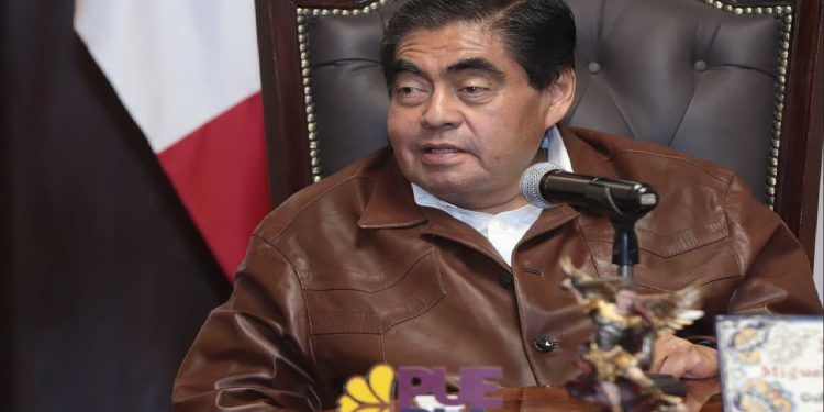 Se sembrarán nueve millones de árboles en Puebla